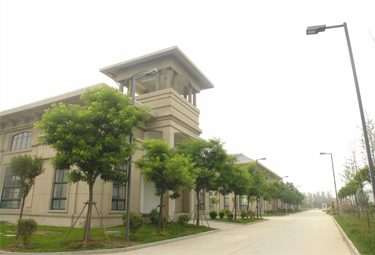 生產(chǎn)廠(chǎng)房實(shí)景